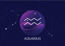 signos que combinam com aquario