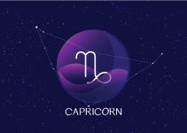 signos que combinam com capricórnio