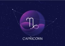 signos que combinam com capricórnio