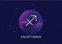 signos que combinam com sagitário