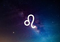 características do meio do céu em leão